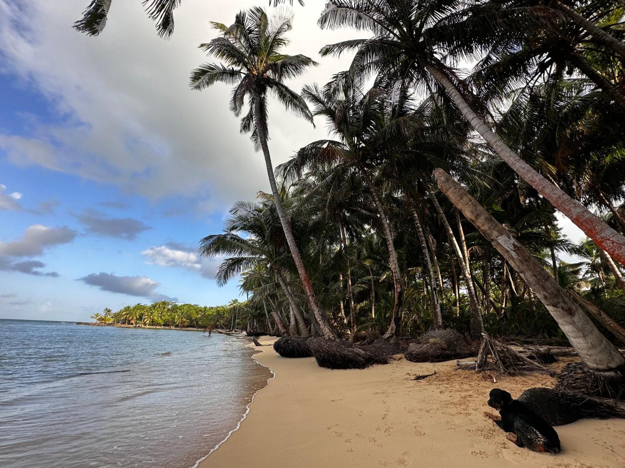 Ensuenos Natural Reserve Little Corn Island Nicaragua エクステリア 写真